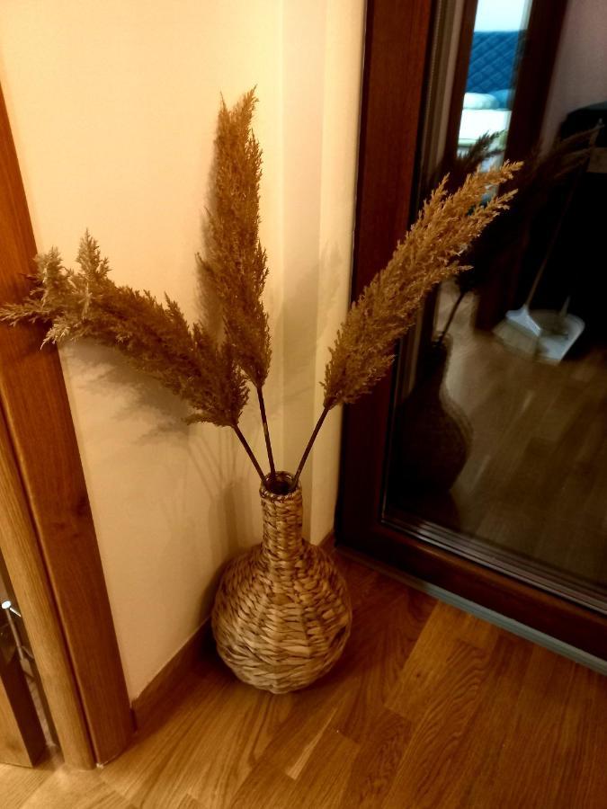 Zlatibor Apartman Luxury & Spa Dijana Bagian luar foto